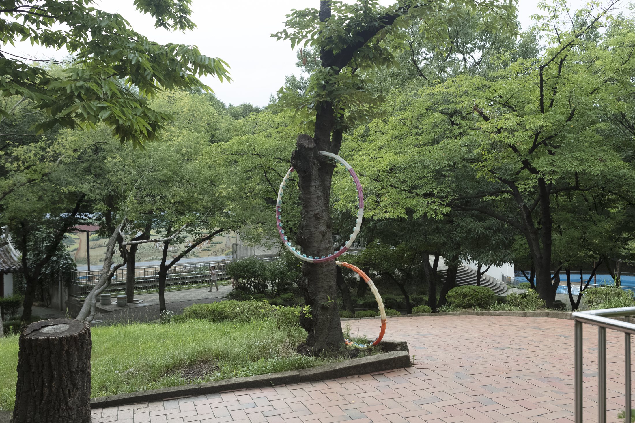 시민의 산책과 공원의 표면
